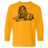 Heavy Cotton Youth Long Sleeve T-Shirt. Thumbnail