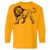 Heavy Cotton Youth Long Sleeve T-Shirt. Thumbnail