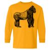 Heavy Cotton Youth Long Sleeve T-Shirt. Thumbnail