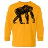 Heavy Cotton Youth Long Sleeve T-Shirt. Thumbnail