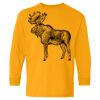 Heavy Cotton Youth Long Sleeve T-Shirt. Thumbnail