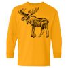 Heavy Cotton Youth Long Sleeve T-Shirt. Thumbnail