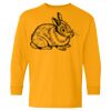 Heavy Cotton Youth Long Sleeve T-Shirt. Thumbnail
