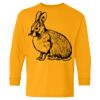 Heavy Cotton Youth Long Sleeve T-Shirt. Thumbnail