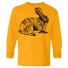 Heavy Cotton Youth Long Sleeve T-Shirt. Thumbnail