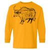 Heavy Cotton Youth Long Sleeve T-Shirt. Thumbnail