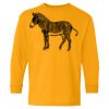 Heavy Cotton Youth Long Sleeve T-Shirt. Thumbnail
