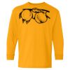 Heavy Cotton Youth Long Sleeve T-Shirt. Thumbnail