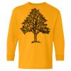 Heavy Cotton Youth Long Sleeve T-Shirt. Thumbnail
