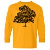 Heavy Cotton Youth Long Sleeve T-Shirt. Thumbnail