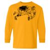 Heavy Cotton Youth Long Sleeve T-Shirt. Thumbnail