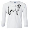 Ultra Cotton® Youth Long Sleeve T-Shirt. Thumbnail