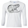Ultra Cotton® Youth Long Sleeve T-Shirt. Thumbnail