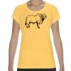 Performance® Core Women's T-Shirt Thumbnail