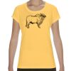 Performance® Core Women's T-Shirt Thumbnail