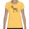 Performance® Core Women's T-Shirt Thumbnail